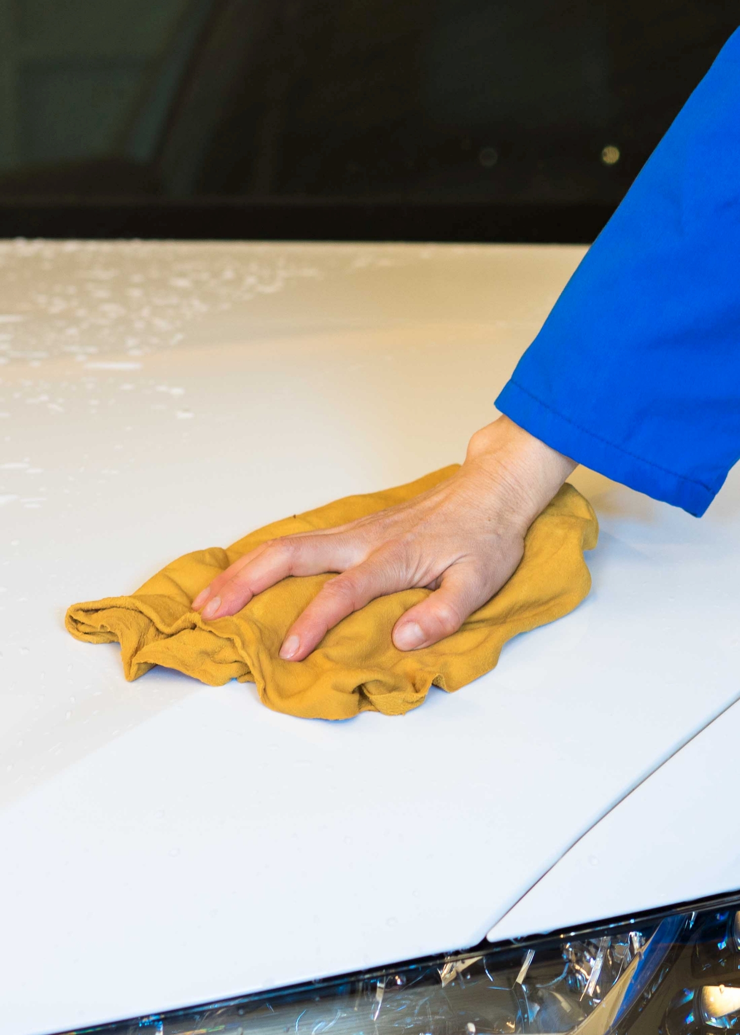 Peau de chamois qualité 1a